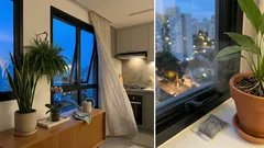 Plantas de interior purificam o ar mesmo? O que elas fazem de verdade (e 12 espécies para ter em casa)