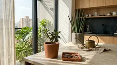 7 plantas símbolo de prosperidade para deixar a casa mais leve — e como cuidar sem sofrimento